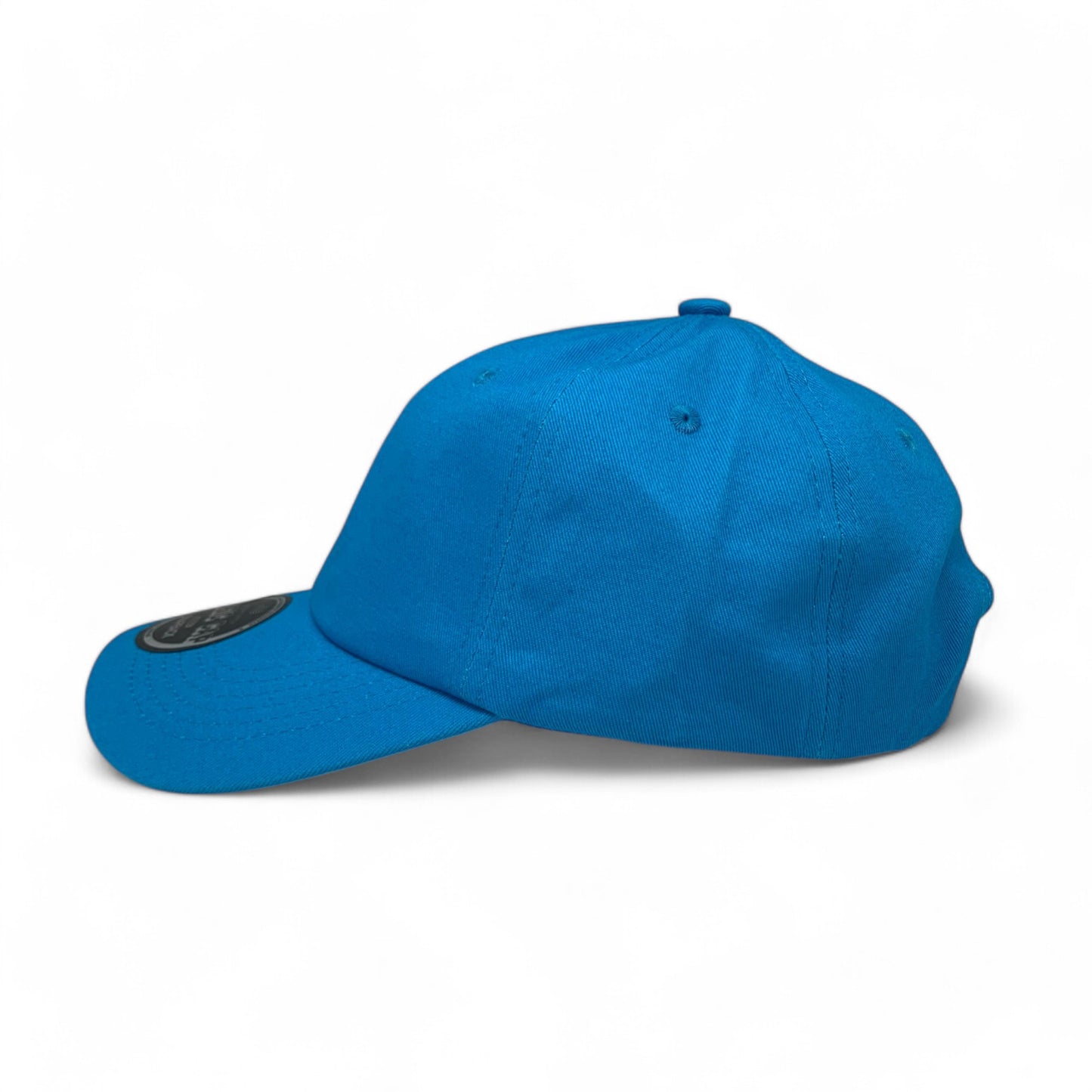 Plain Cotton Dad Hat 6004