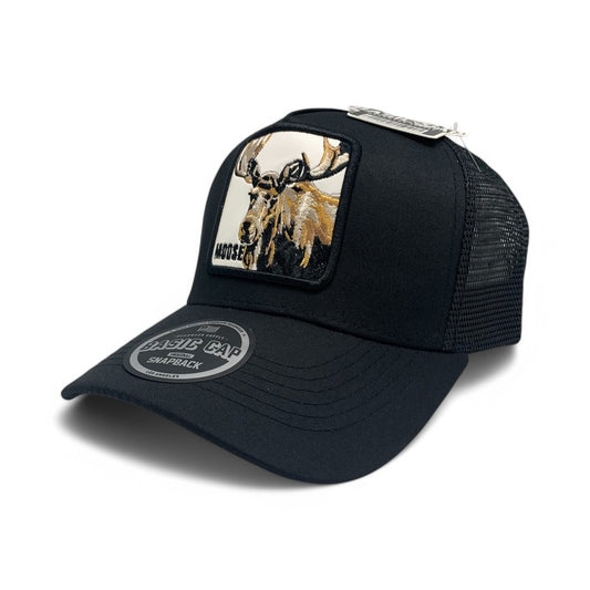 MOOSE - A17