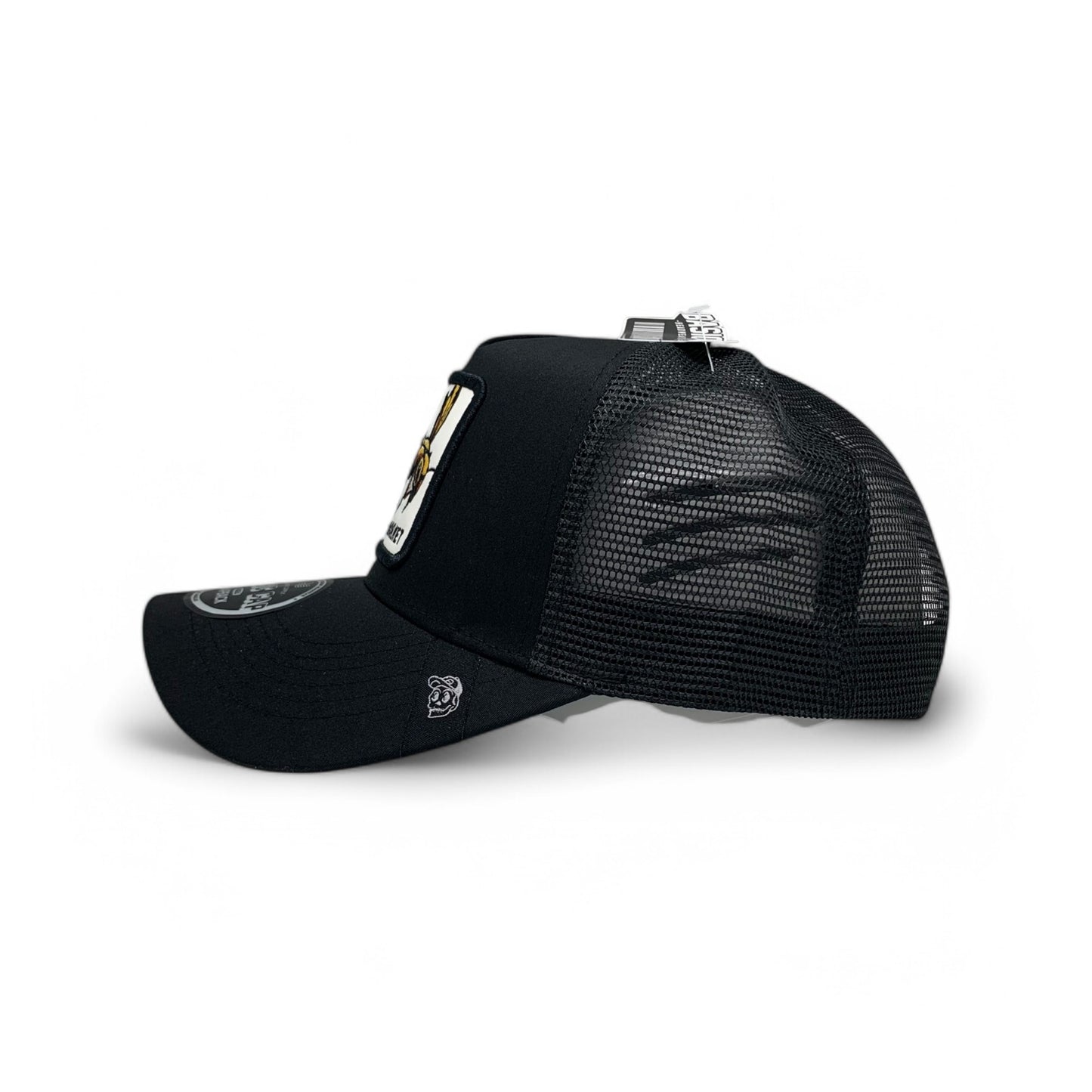 HORNET - A50