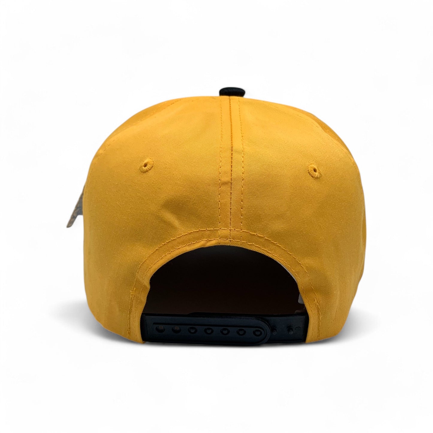 Plain 5Panel Curve 5001