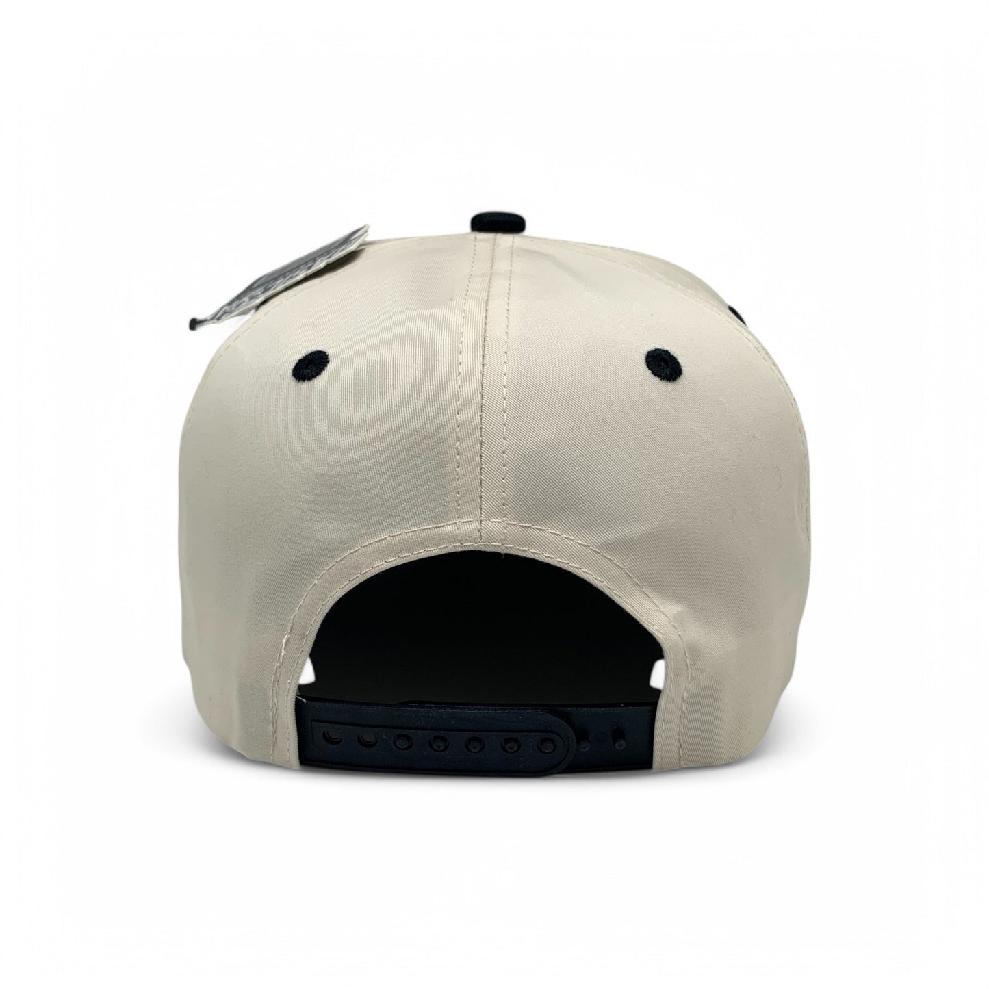 Plain 5Panel Curve 5001
