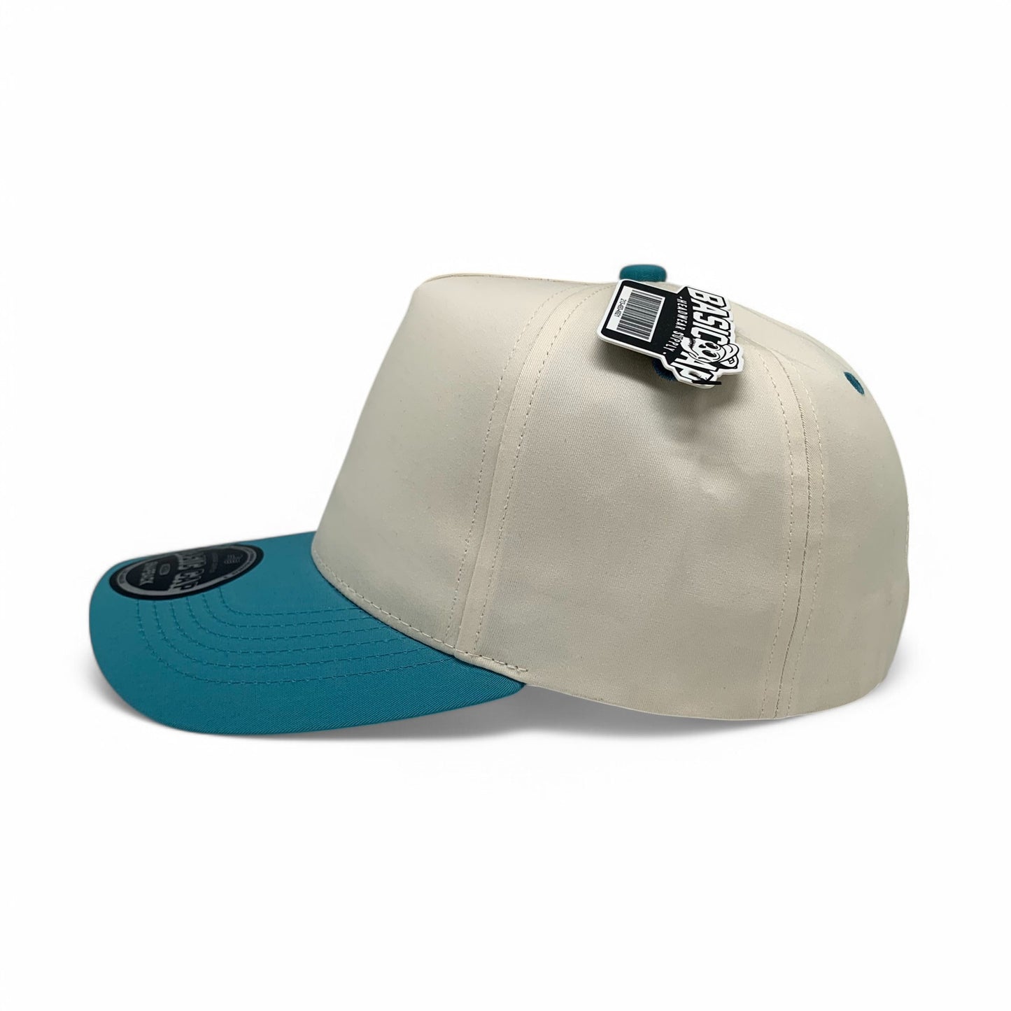 Plain 5Panel Curve 5001