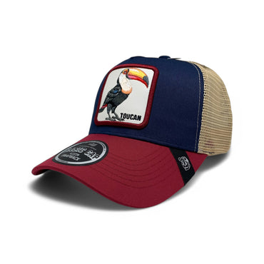 TOUCAN - A46