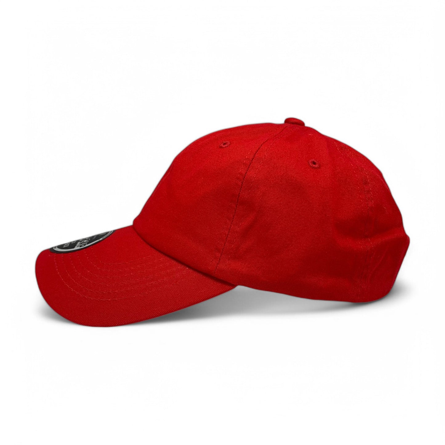 Plain Cotton Dad Hat 6004