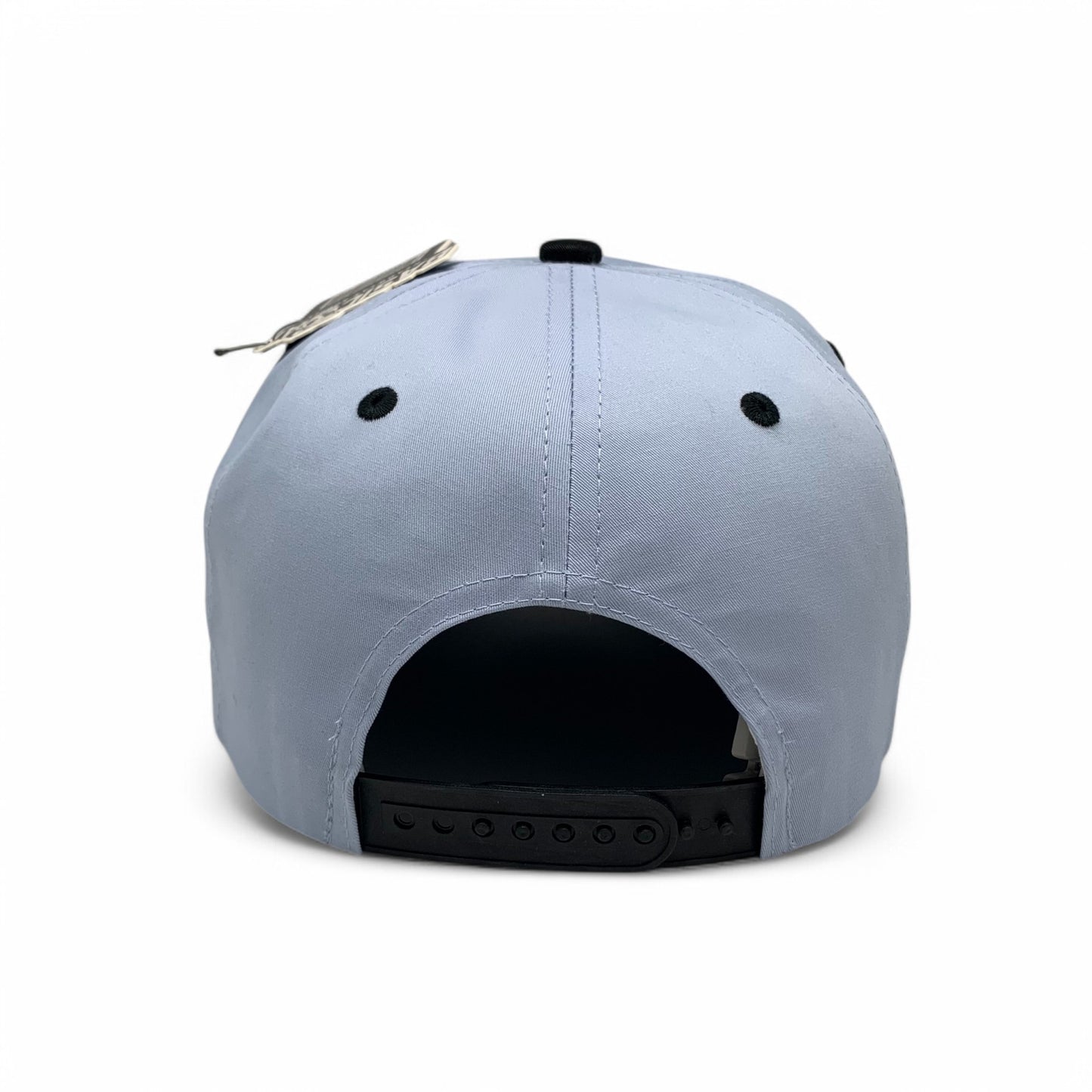 Plain 5Panel Curve 5001