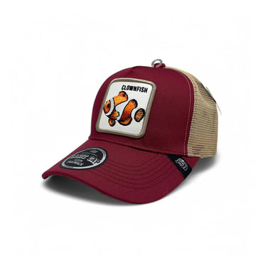 CLOWNFISH - A49