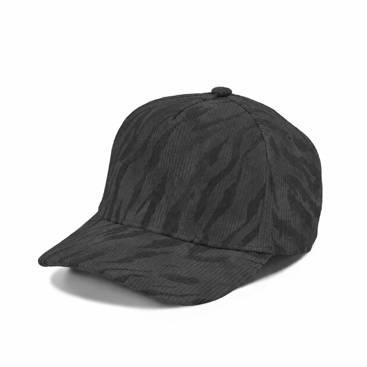 Plain Curve 5Panel ZEBRA Hat 5075