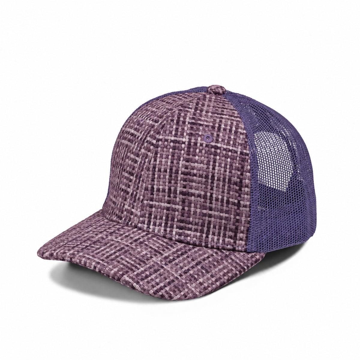 Plain Curve 6Panel Check Pattern Mesh Hat 6007