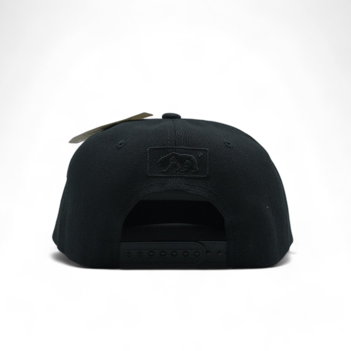 BEAR SNAPBACK - DS01