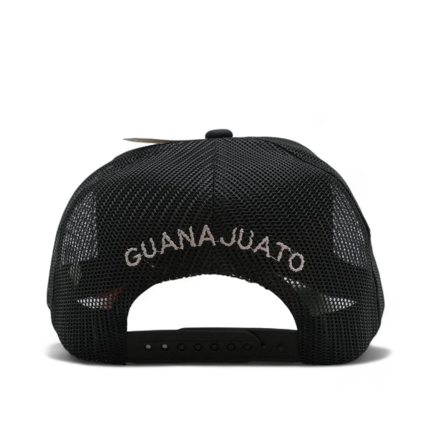 MEXICO CITY MESH HAT - GUANAJUATO (DS15-03)