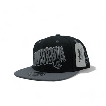 CALIFORNIA SNAPBACK - 1 (DS02)