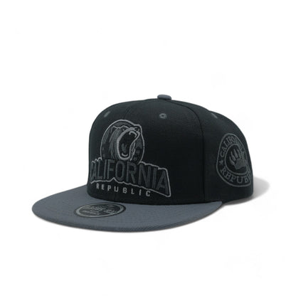 CALIFORNIA SNAPBACK - 2(DS03)