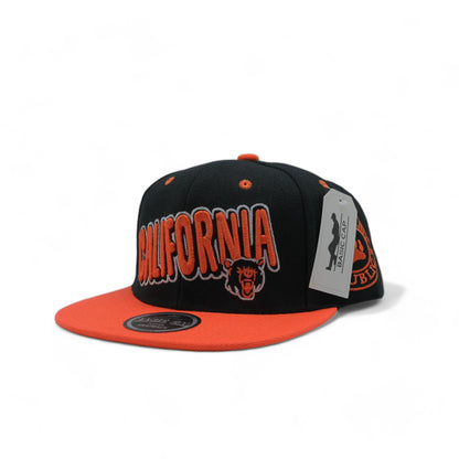 CALIFORNIA SNAPBACK - 1 (DS02)