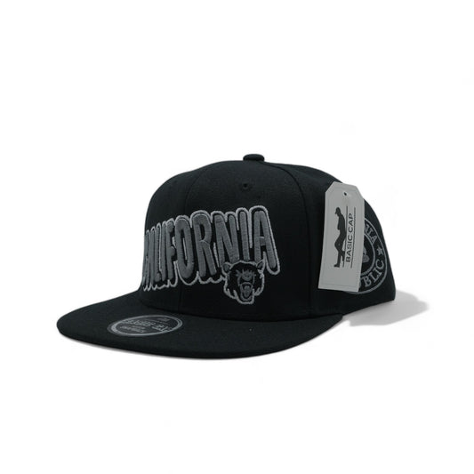 CALIFORNIA SNAPBACK - 1 (DS02)