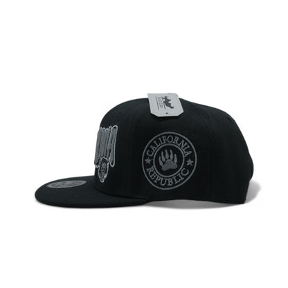 CALIFORNIA SNAPBACK - 1 (DS02)