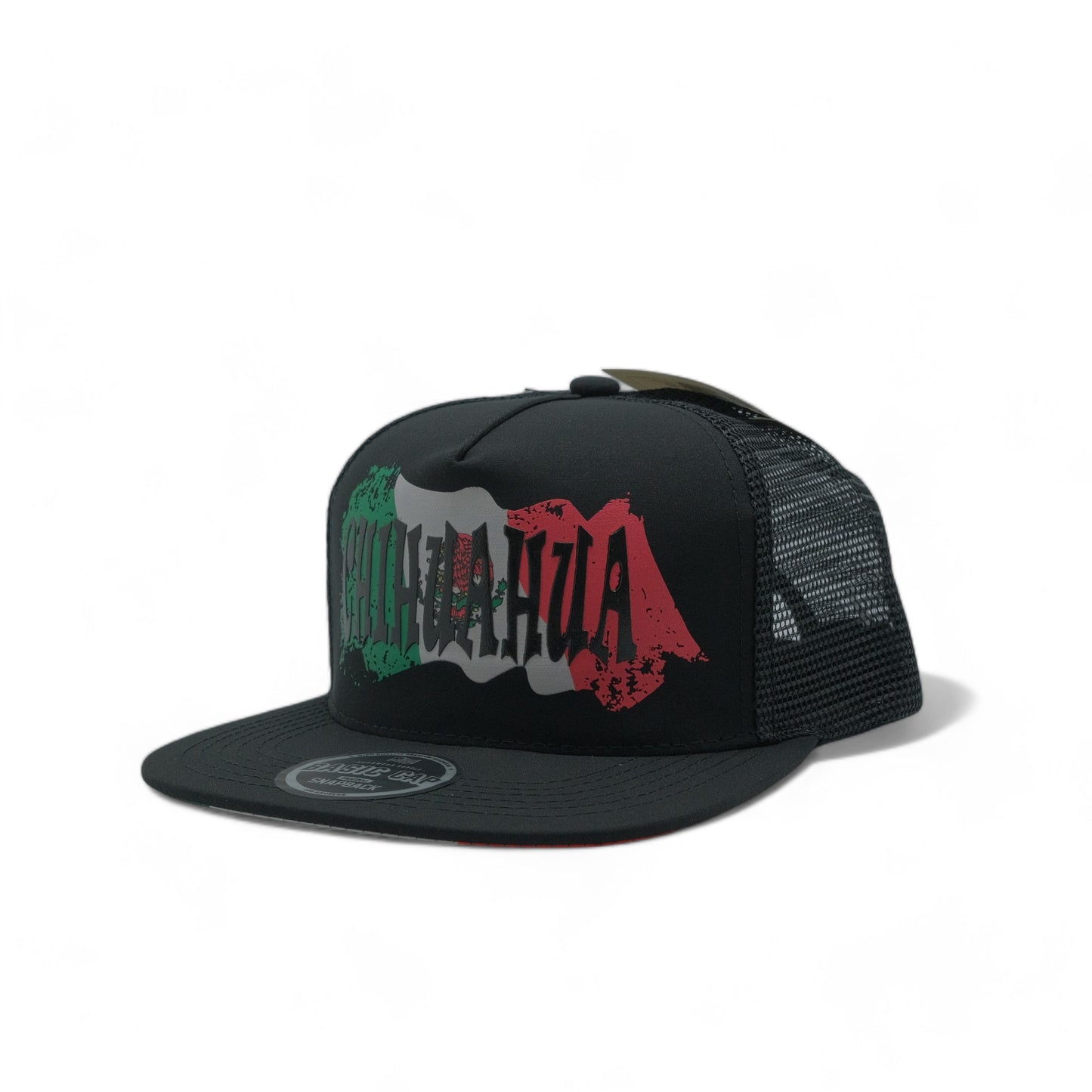 FLAT MEXICO PRINT SNAPBACK - DS07