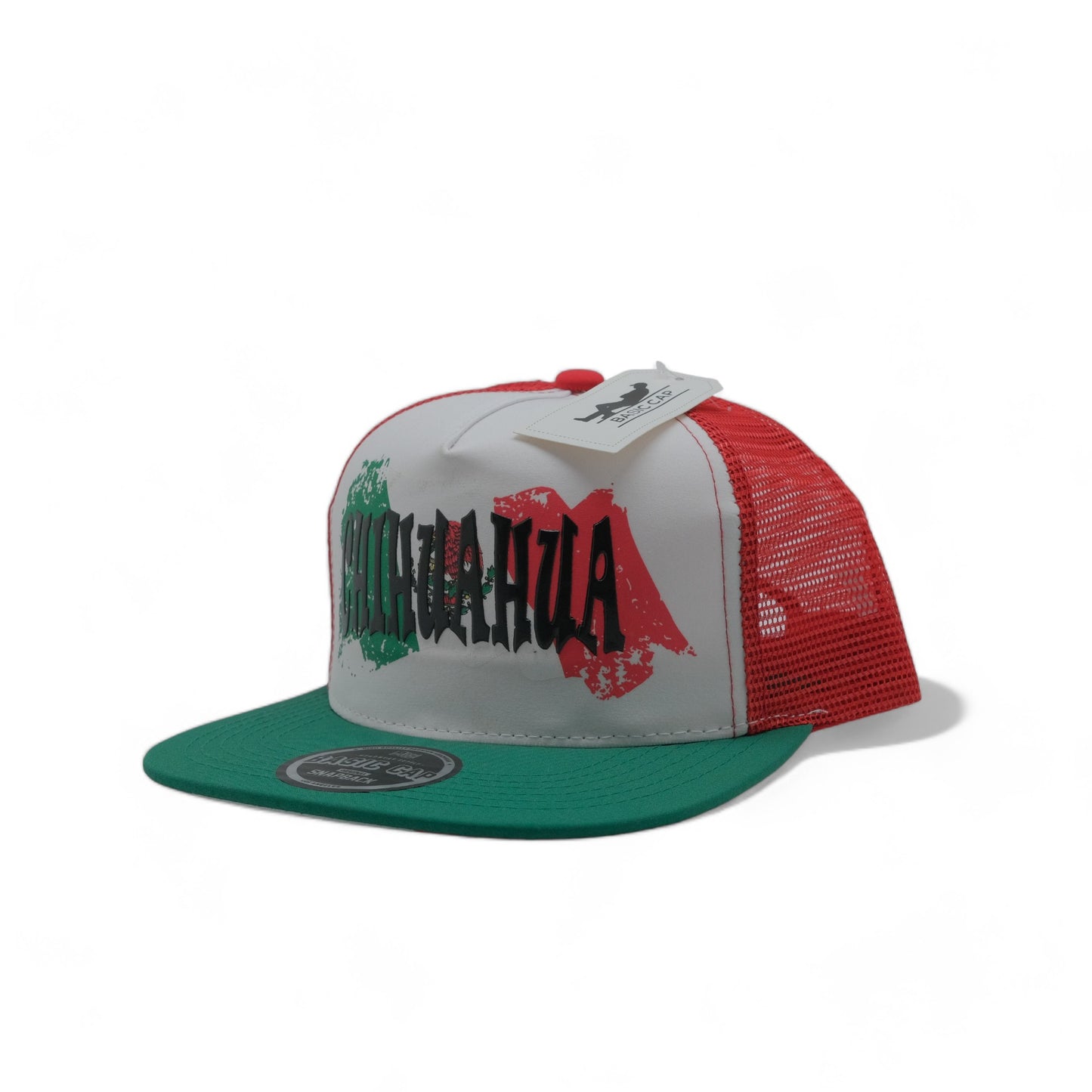 FLAT MEXICO PRINT SNAPBACK - DS07