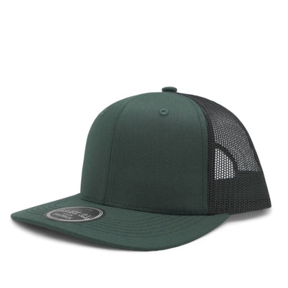 PLAIN CURVE 6PANEL MESH - P6M