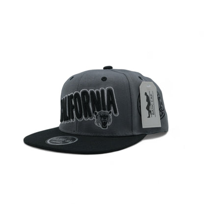 CALIFORNIA SNAPBACK - 1 (DS02)