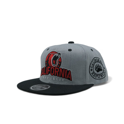 CALIFORNIA SNAPBACK - 2(DS03)