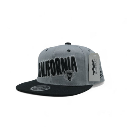 CALIFORNIA SNAPBACK - 1 (DS02)