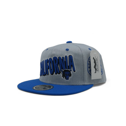 CALIFORNIA SNAPBACK - 1 (DS02)