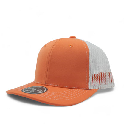 PLAIN CURVE 6PANEL MESH - P6M