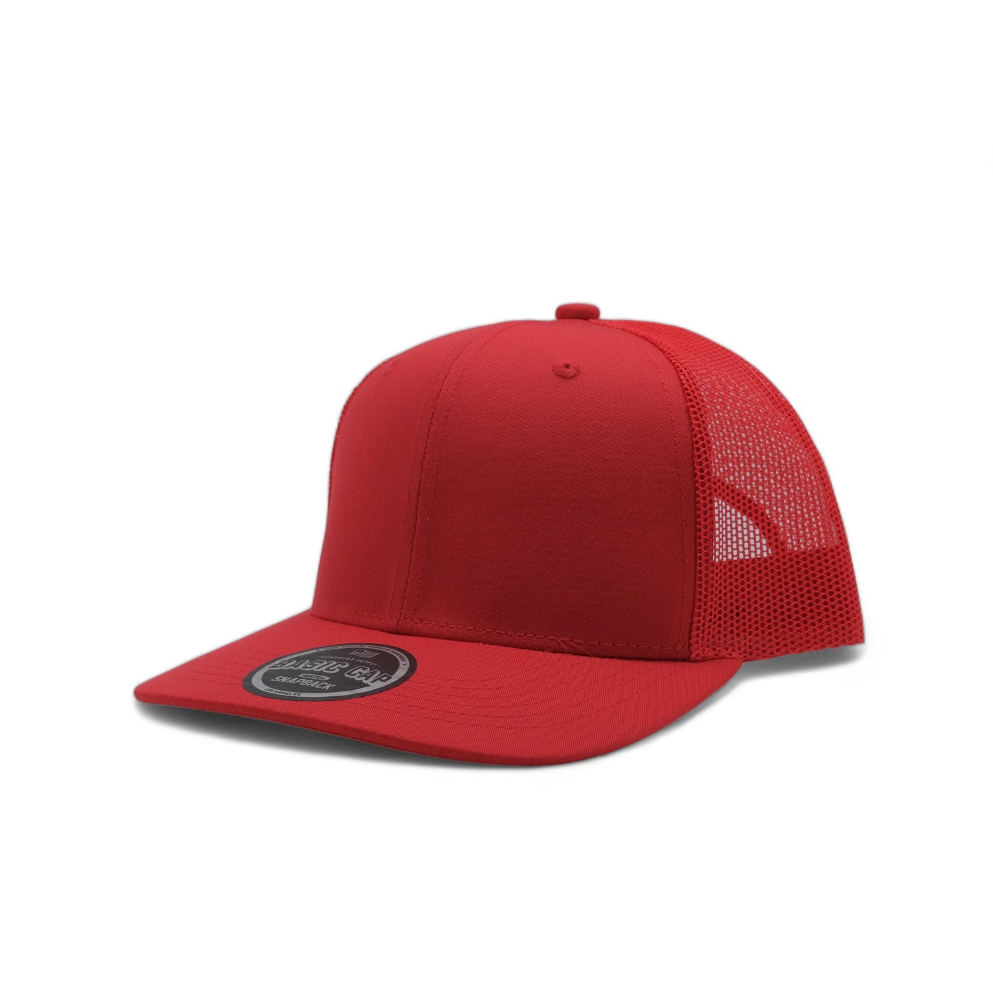 PLAIN CURVE 6PANEL MESH - P6M