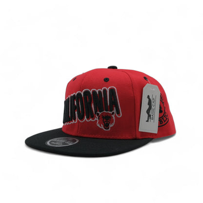 CALIFORNIA SNAPBACK - 1 (DS02)