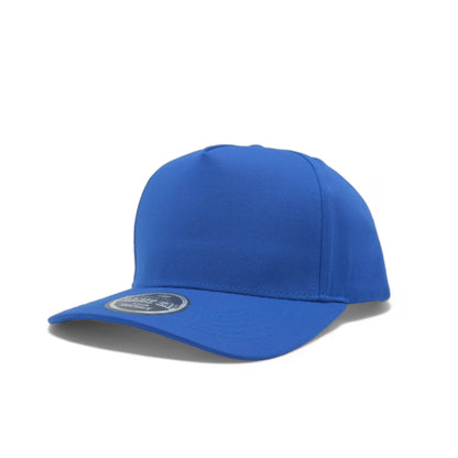 PLAIN CURVE 5PANEL - P5C