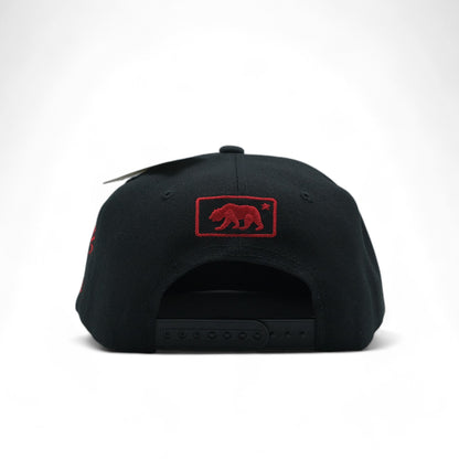 BEAR SNAPBACK - DS01