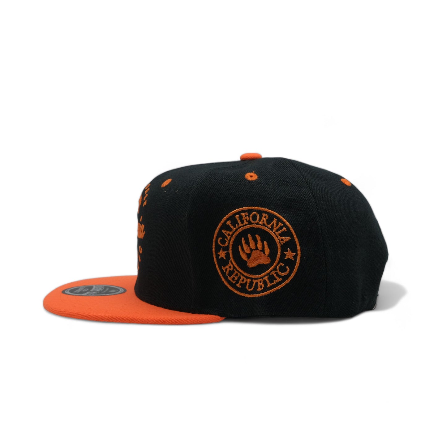 CALIFORNIA SNAPBACK - 3(DS04)