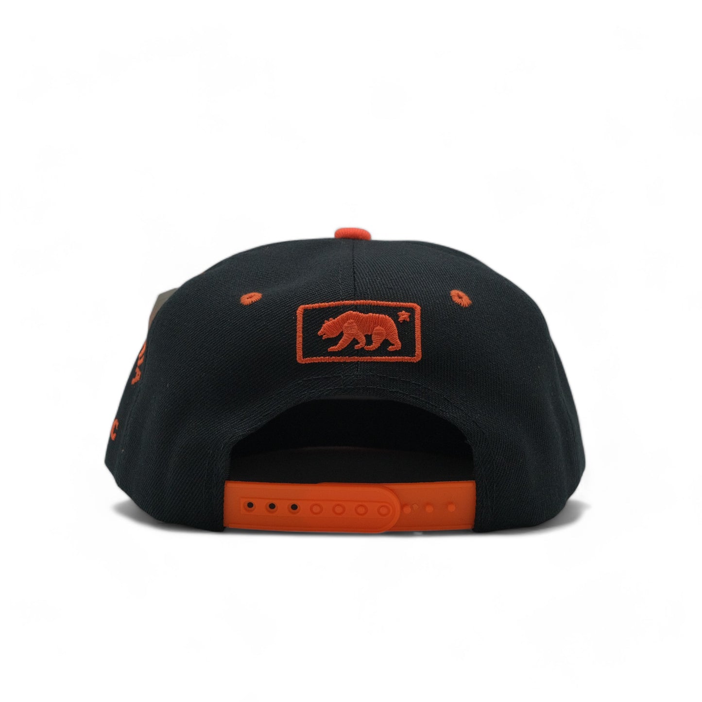 BEAR SNAPBACK - DS01