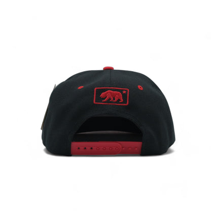 BEAR SNAPBACK - DS01