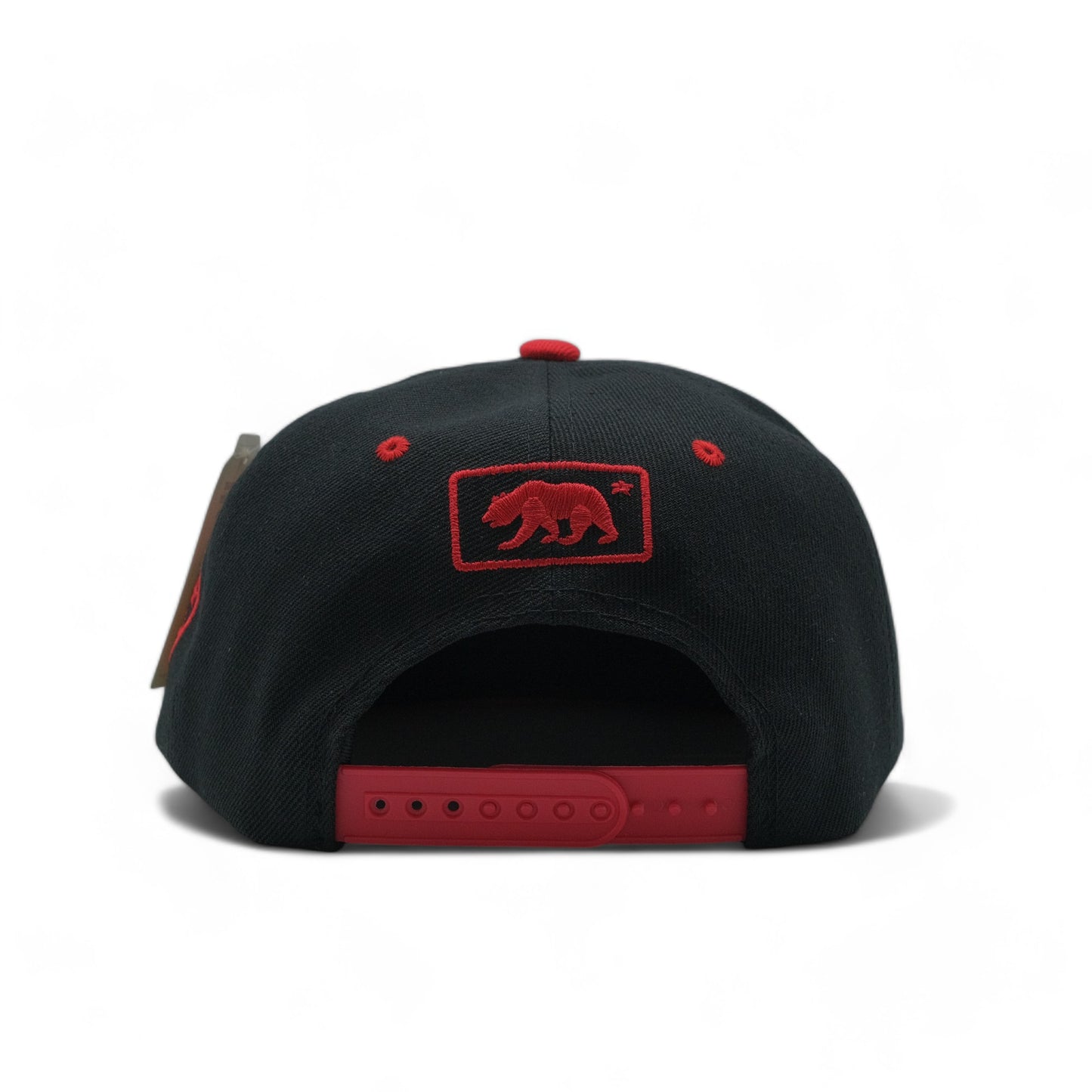 CALIFORNIA SNAPBACK - 1 (DS02)