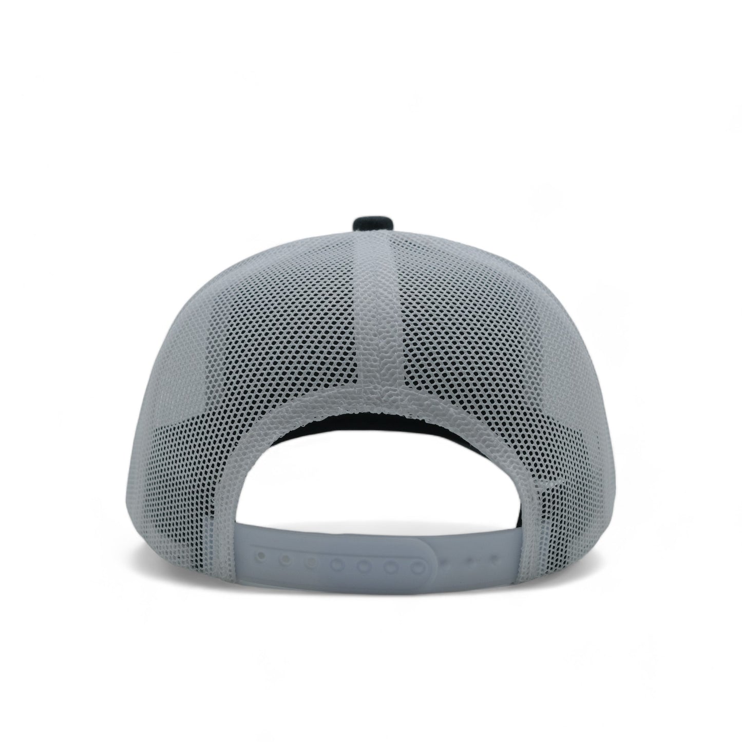 PLAIN CURVE 6PANEL MESH - P6M