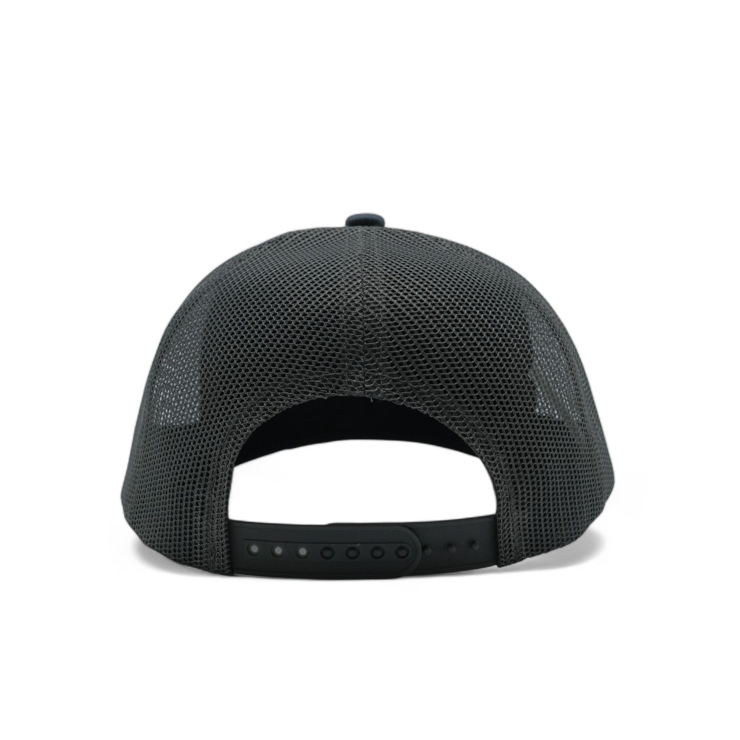 PLAIN CURVE 6PANEL MESH - P6M