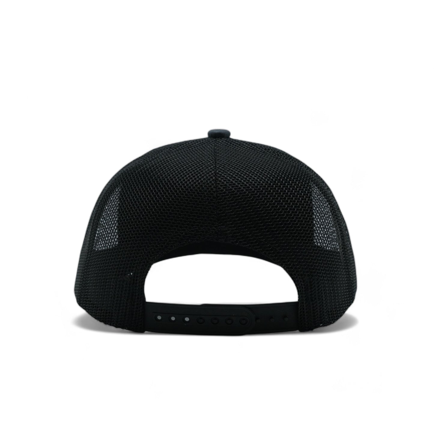 PLAIN CURVE 6PANEL MESH - P6M