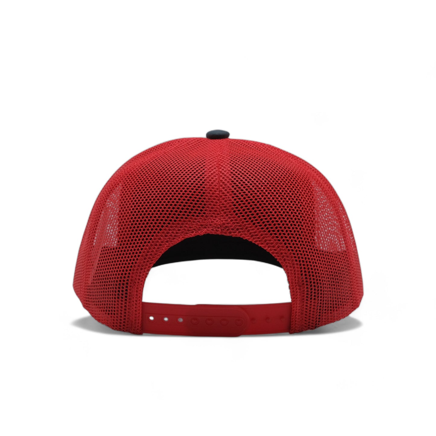 PLAIN CURVE 6PANEL MESH - P6M