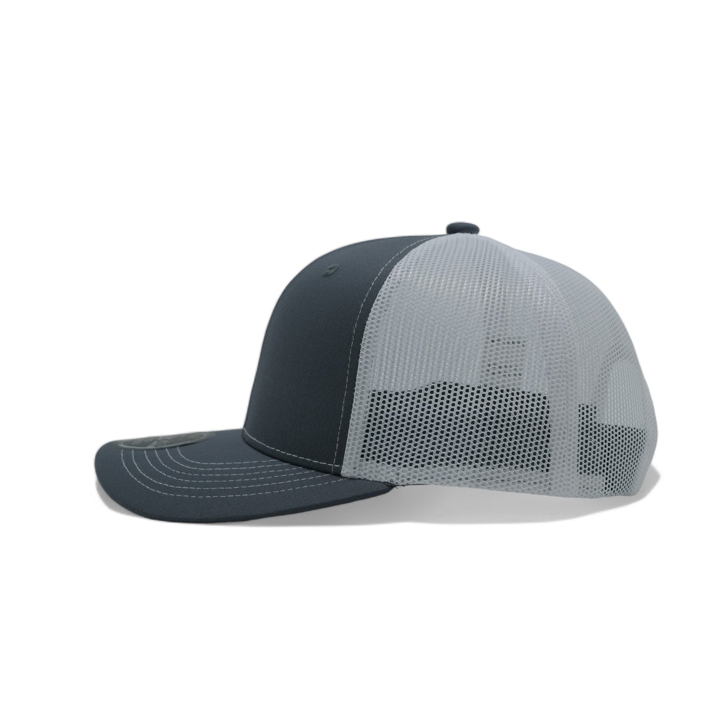 PLAIN CURVE 6PANEL MESH - P6M