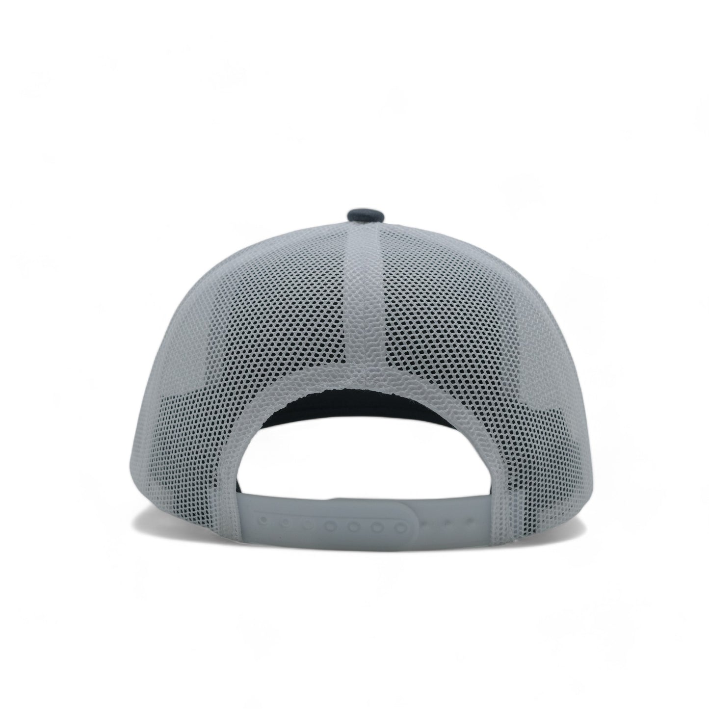 PLAIN CURVE 6PANEL MESH - P6M