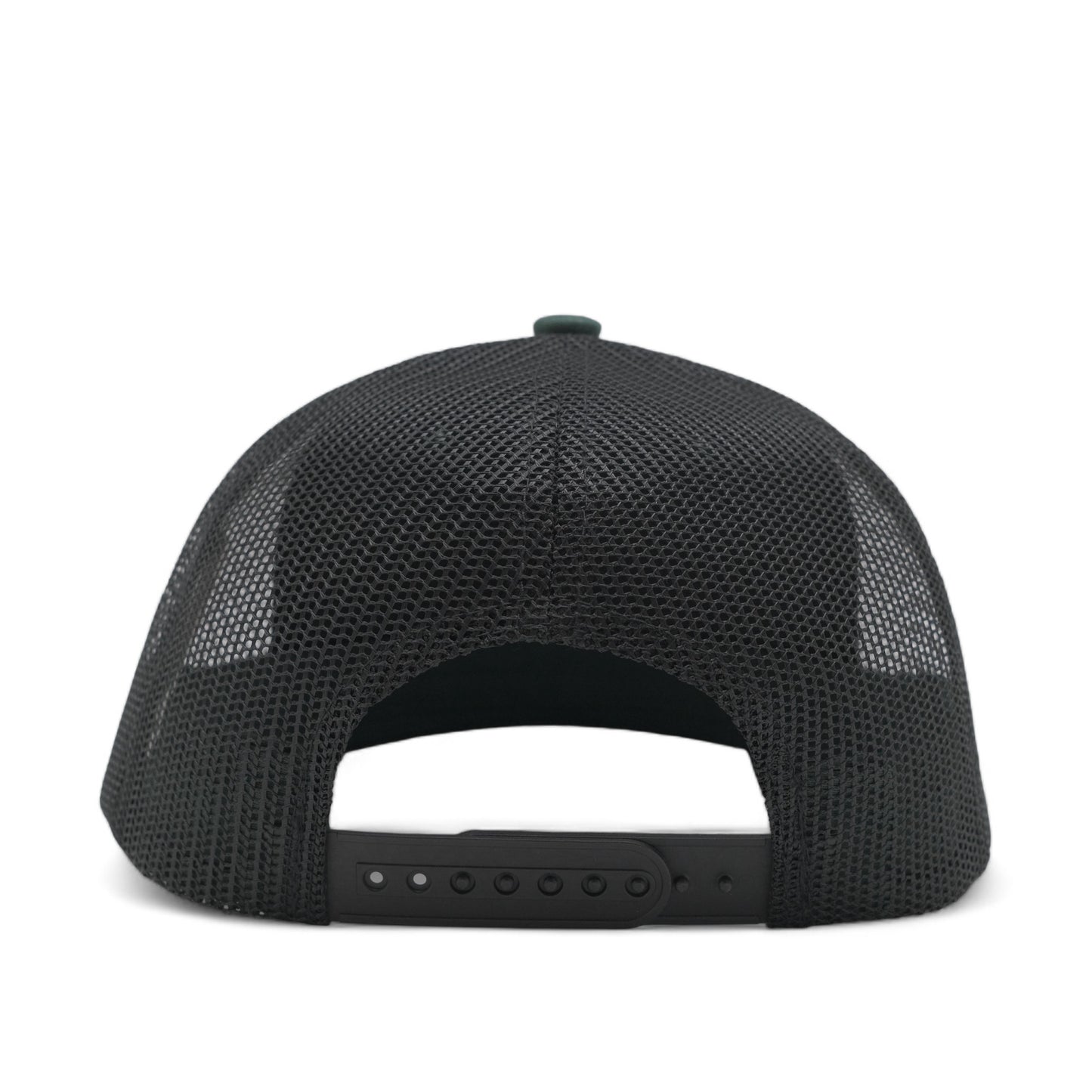 PLAIN CURVE 6PANEL MESH - P6M