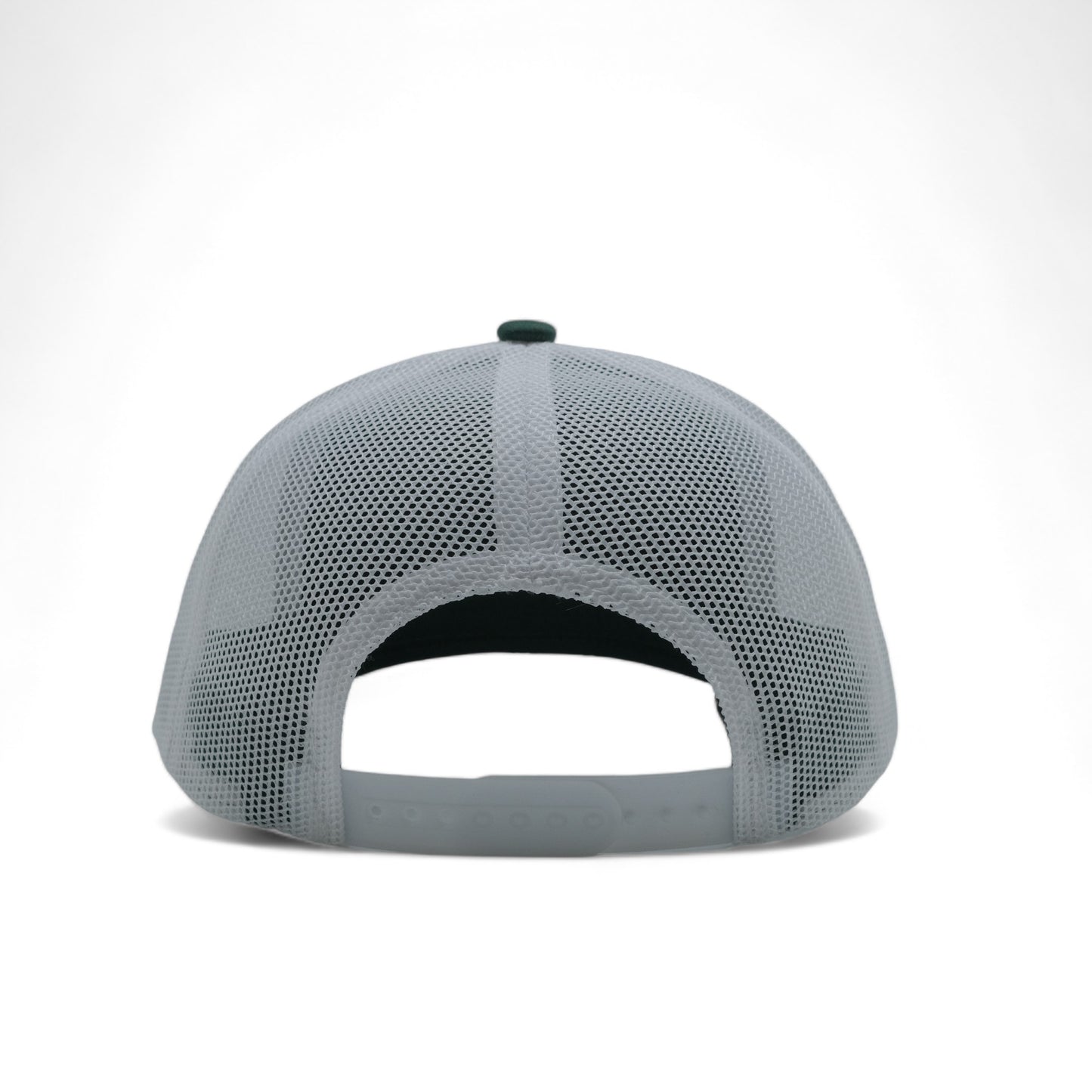 PLAIN CURVE 6PANEL MESH - P6M