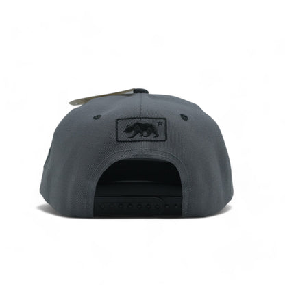 CALIFORNIA SNAPBACK - 1 (DS02)