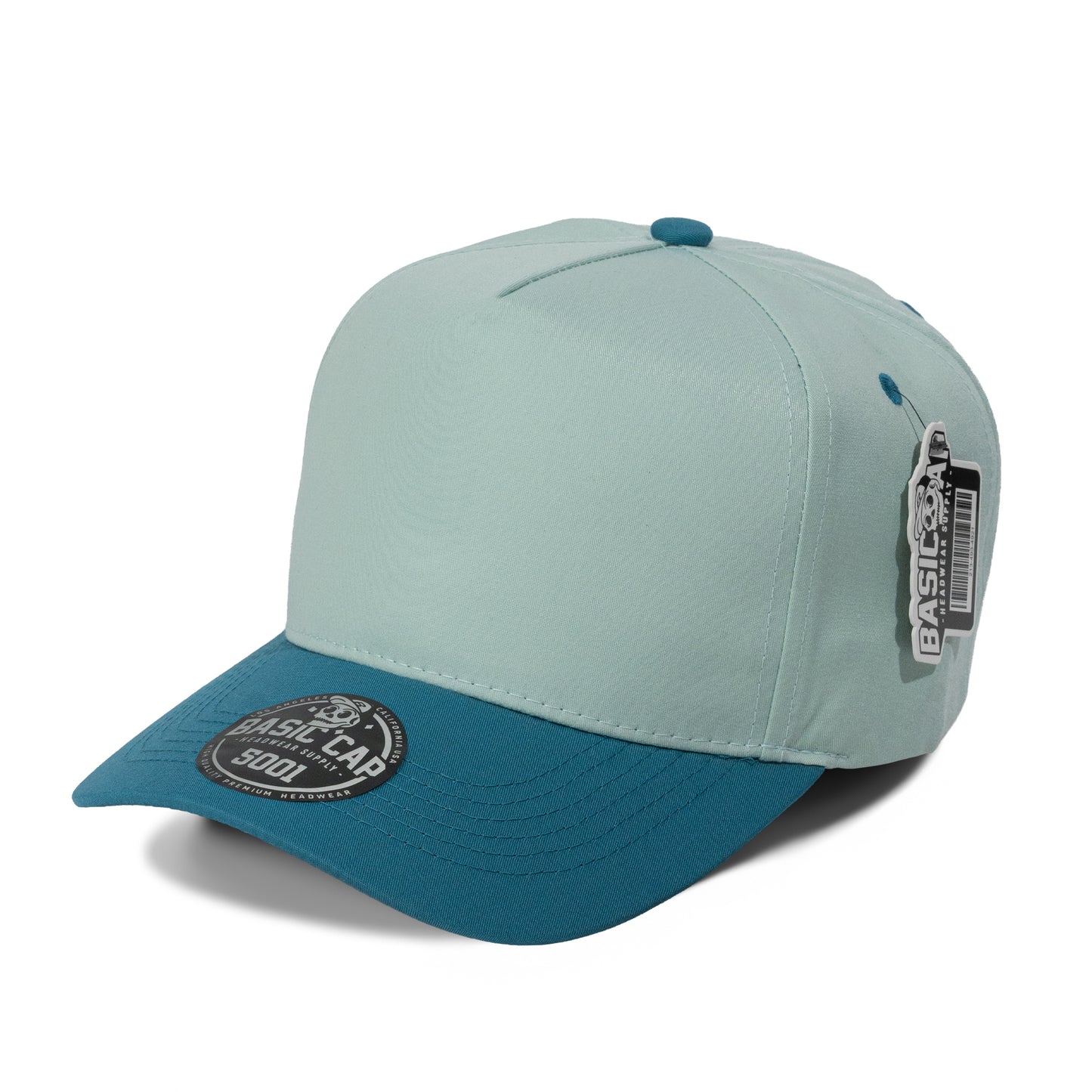Plain 5Panel Curve 5001