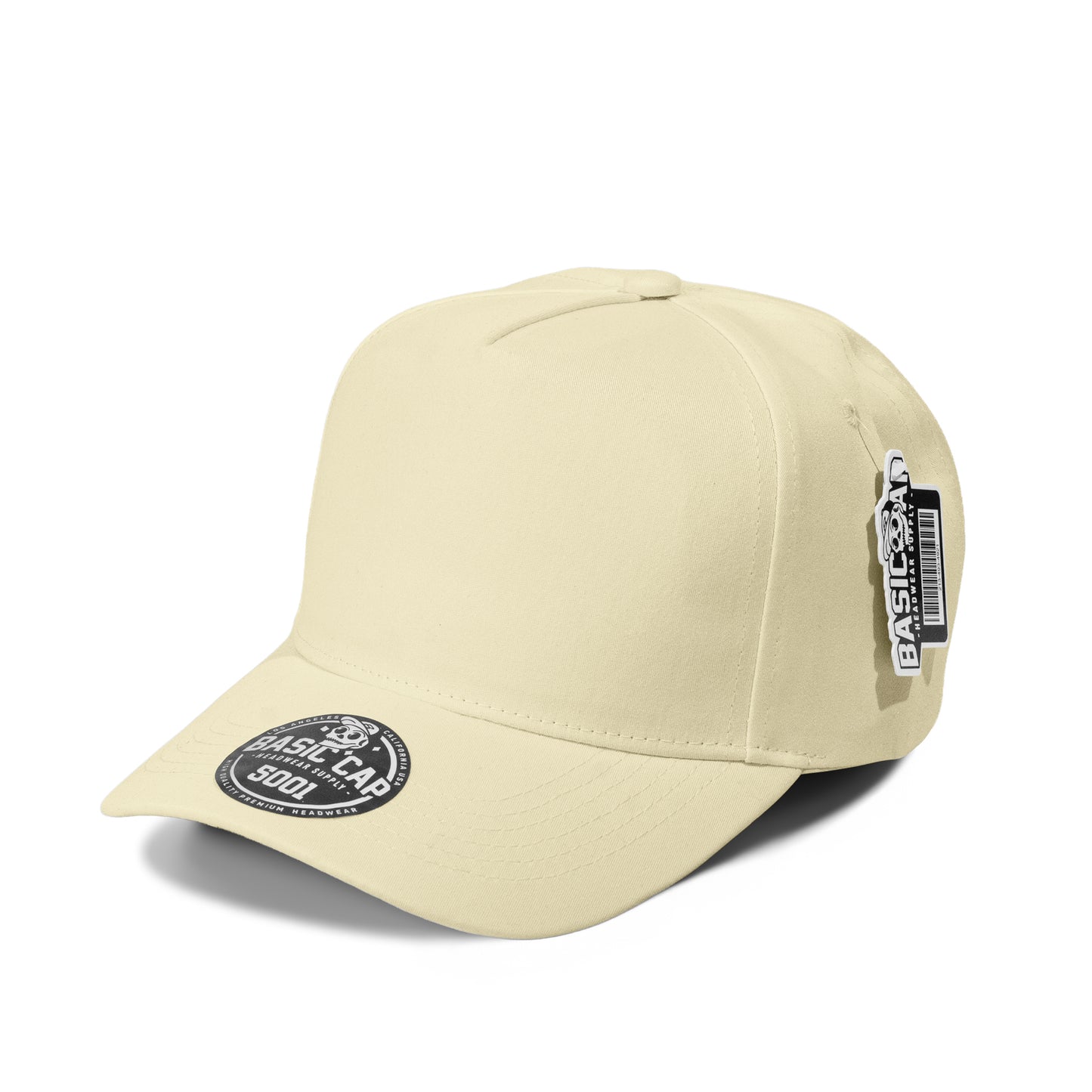 Plain 5Panel Curve 5001