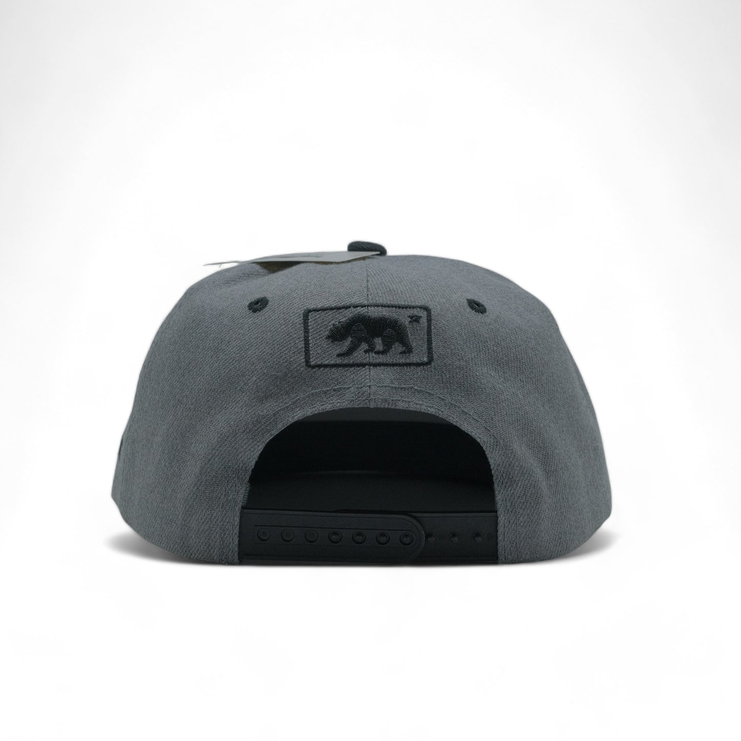 BEAR SNAPBACK - DS01