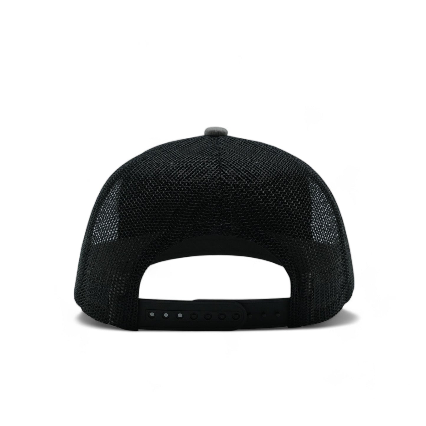 PLAIN CURVE 6PANEL MESH - P6M