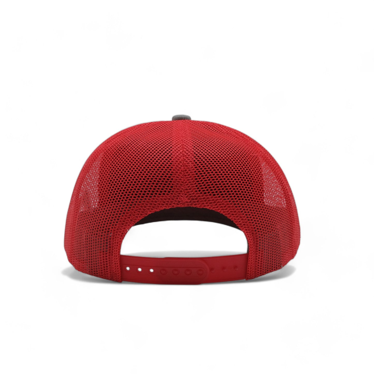 PLAIN CURVE 6PANEL MESH - P6M