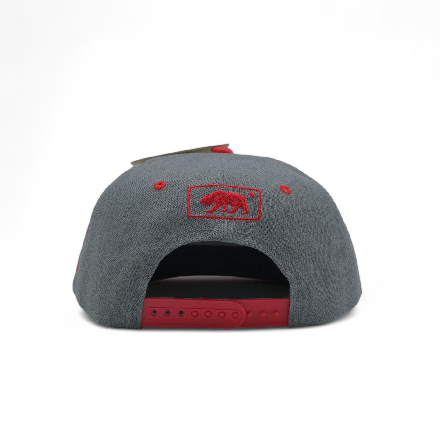 BEAR SNAPBACK - DS01